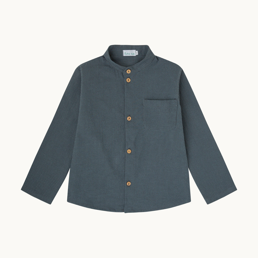 Camisa Max-vichy azul