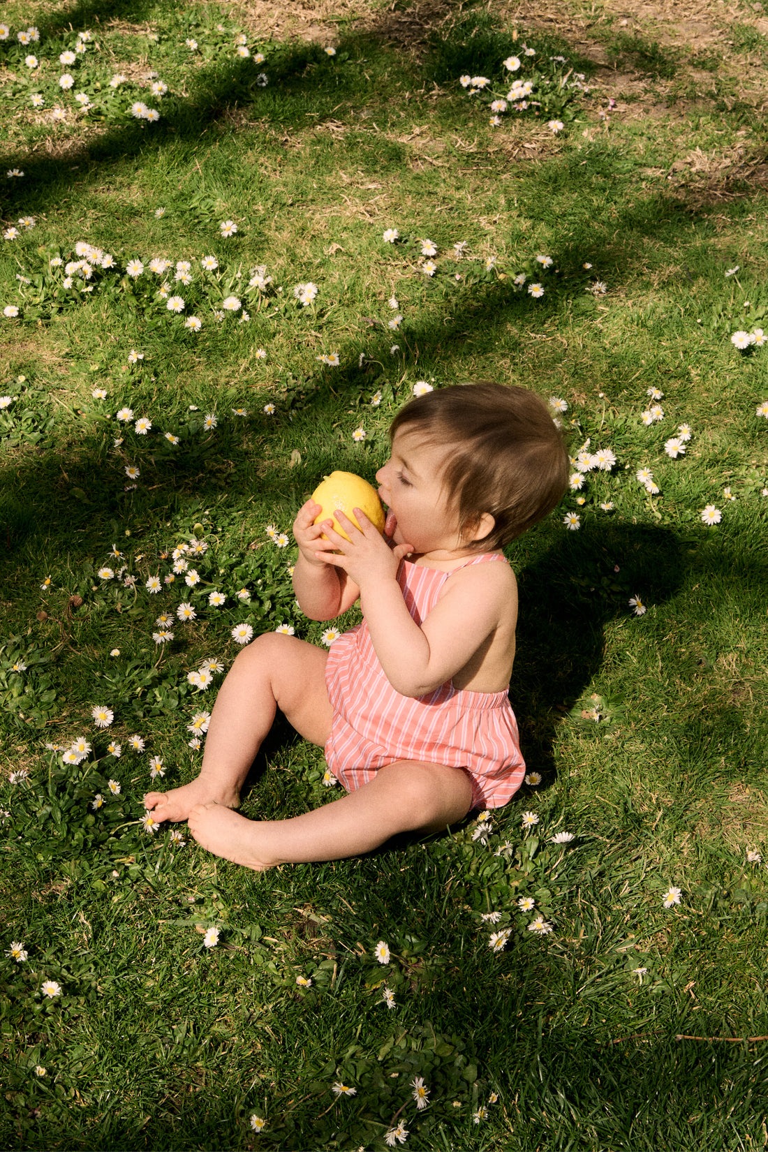 PETO JULIETTE RAYA MELOCOTÓN