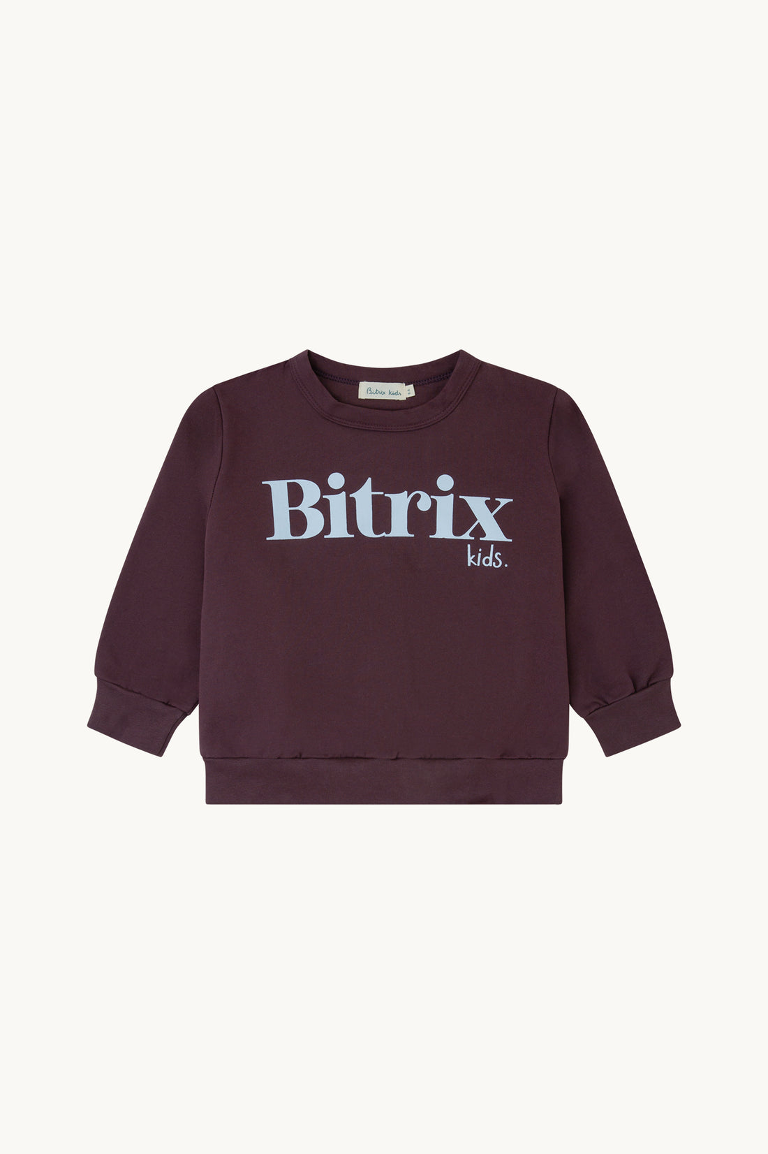 Sudadera Berenjena Bitrix Kids