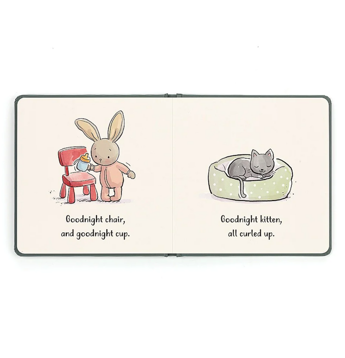 Goodnight Bunny Book